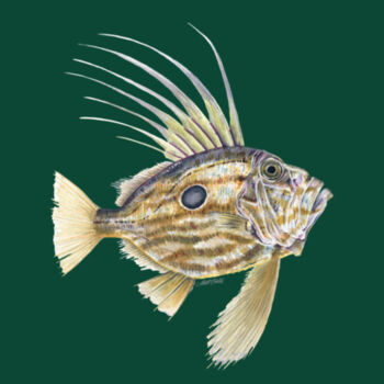 John Dory Mens Staple Tee Design