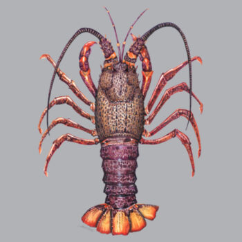 Crayfish Womens Mali Tee Design