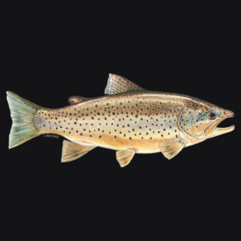 Brown Trout Mens Supply Hoodie Design