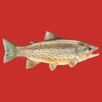 Brown Trout Kids Classic Tee Design
