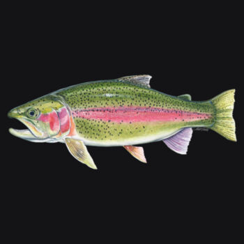 Rainbow Trout Mens Supply Hoodie Design