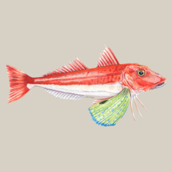 Red Gurnard Womens Maple Curve Long Sleeve Tee Design