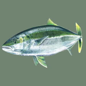 Kingy Mens Staple Tee Design