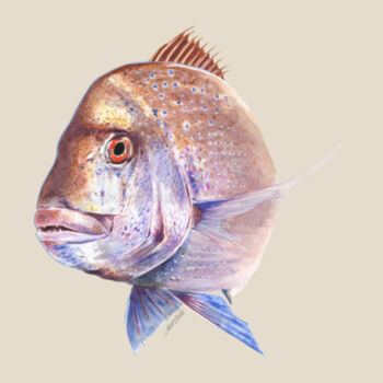 Old Bronzy Women's Maple Tee Design