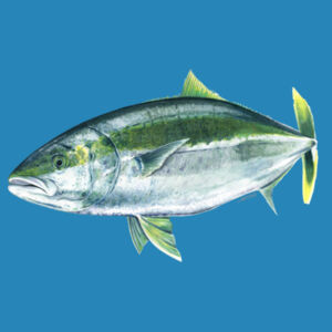 Kingy Womens Maple Tee Design