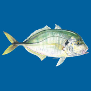 Trevally Mens Supply Hoodie Design