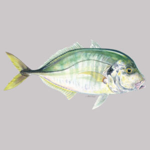 Trevally Women's Supply Hoodie Design