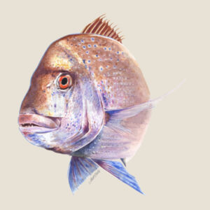 Old Bronzy Women's Mali tee Design