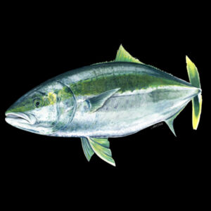 Kingy Women's Mali Tee Design