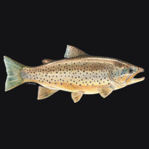 Brown Trout Mens Supply Hoodie Design