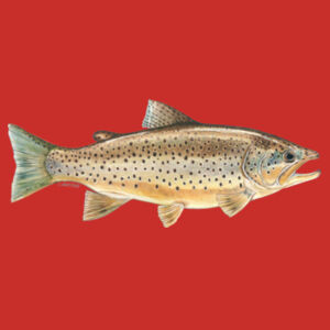 Brown Trout Kids Classic Tee Design