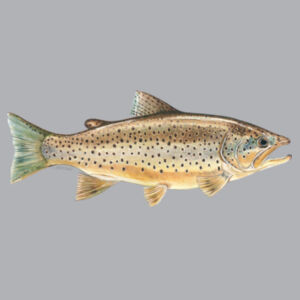 Brown Trout Kids Supply Hoodie Design