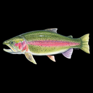 Rainbow Trout Mens Staple Tee Design