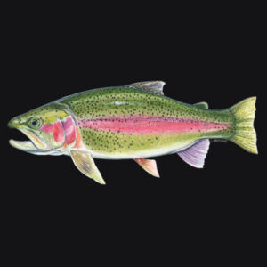 Rainbow Trout Mens Supply Hoodie Design