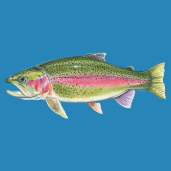 Rainbow Trout Womens Maple Tee Design