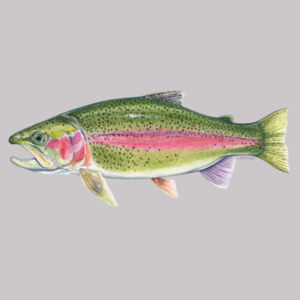 Rainbow Trout Women's Supply Hoodie Design