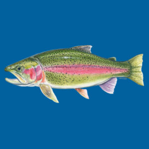 Rainbow Trout Kids Classic Tee Design
