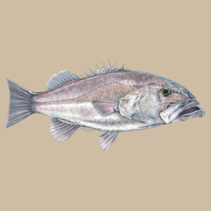 John Dory Womens Maple Curve Long Sleeve Tee Design