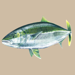 Kingy Womens Maple Curve Long Sleeve Tee Design