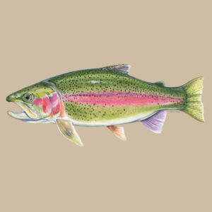 Rainbow Trout Womens Maple Curve Long Sleeve Tee Design