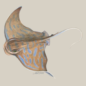 Eagle Ray Womens Maple Tee Design