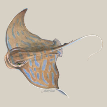 Eagle Ray Womens Maple Tee Design