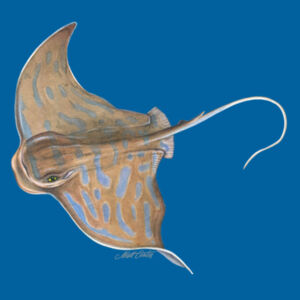 Eagle Ray Mens Supply Hoodie Design