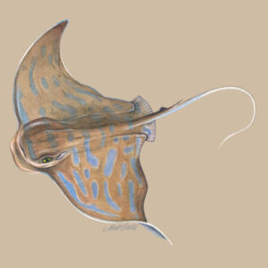 Eagle Ray Womens Maple Curve Long Sleeve Tee Design