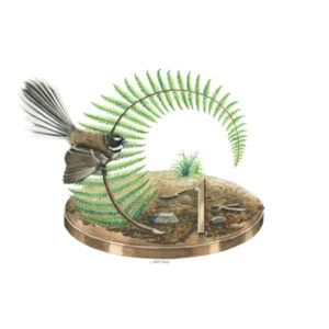 1 Cent Coin Womens Mali Tee Design