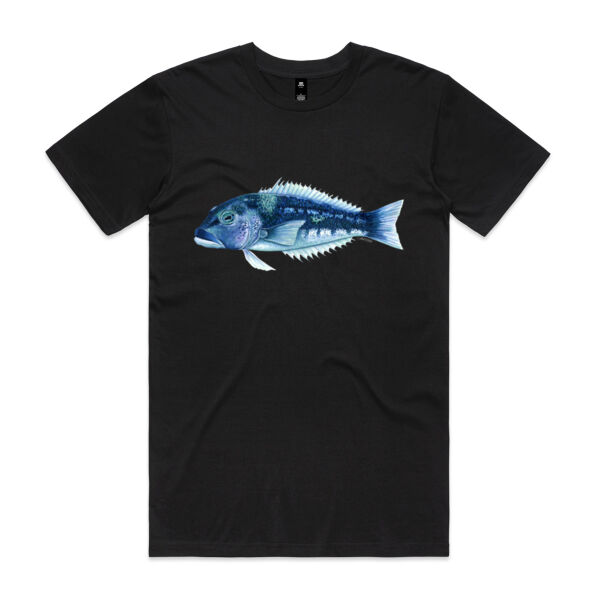 Blue Cod Mens Staple Tee Thumbnail